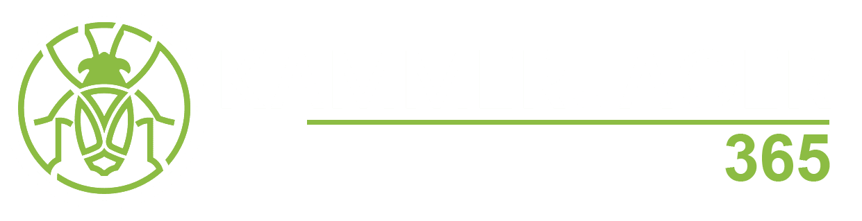 logo-img
